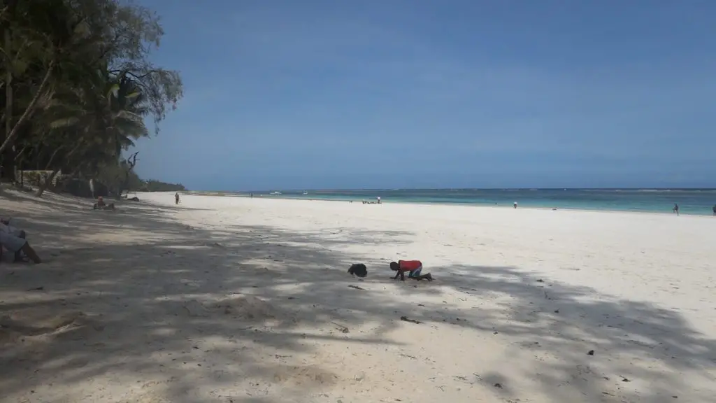 diani beach near tradewinds