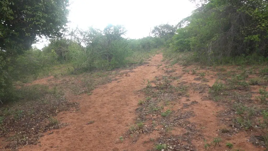 old shimba hills road