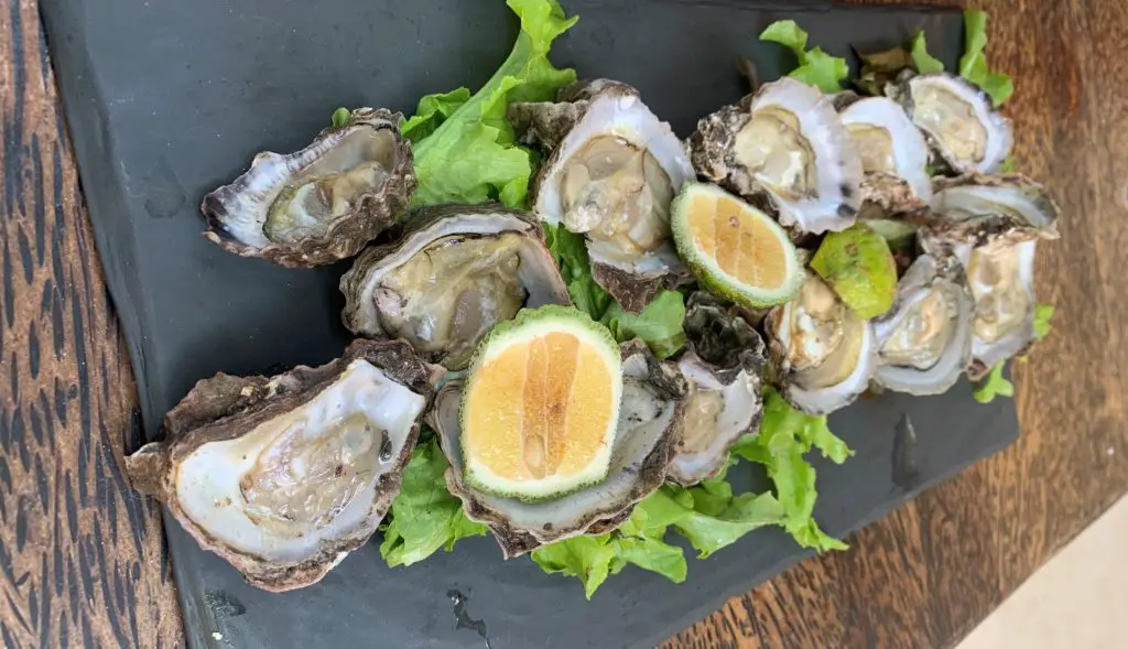 swahili beach oysters