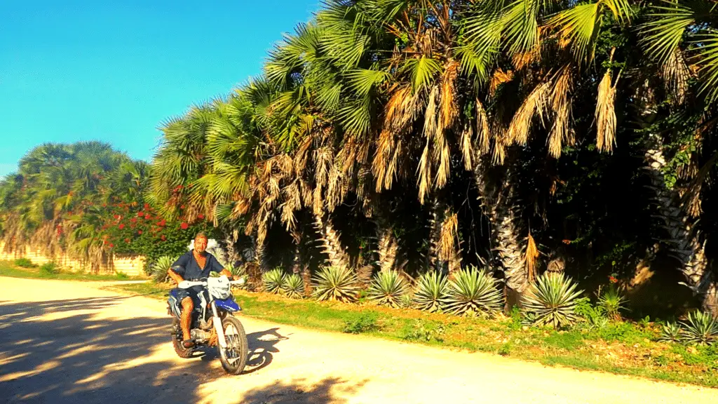 Drive to Chale island Kwale