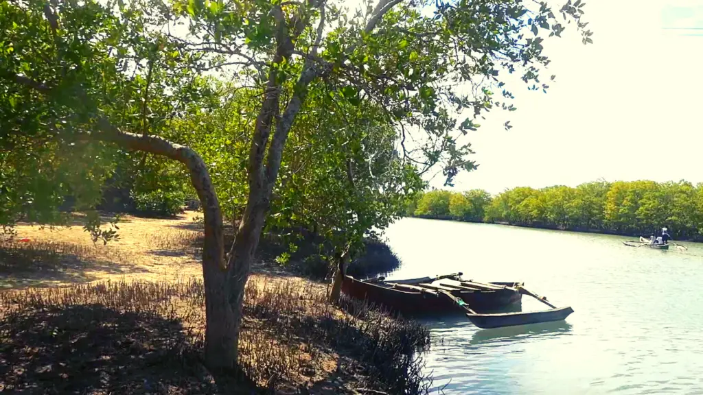 Kongo river Ukunda