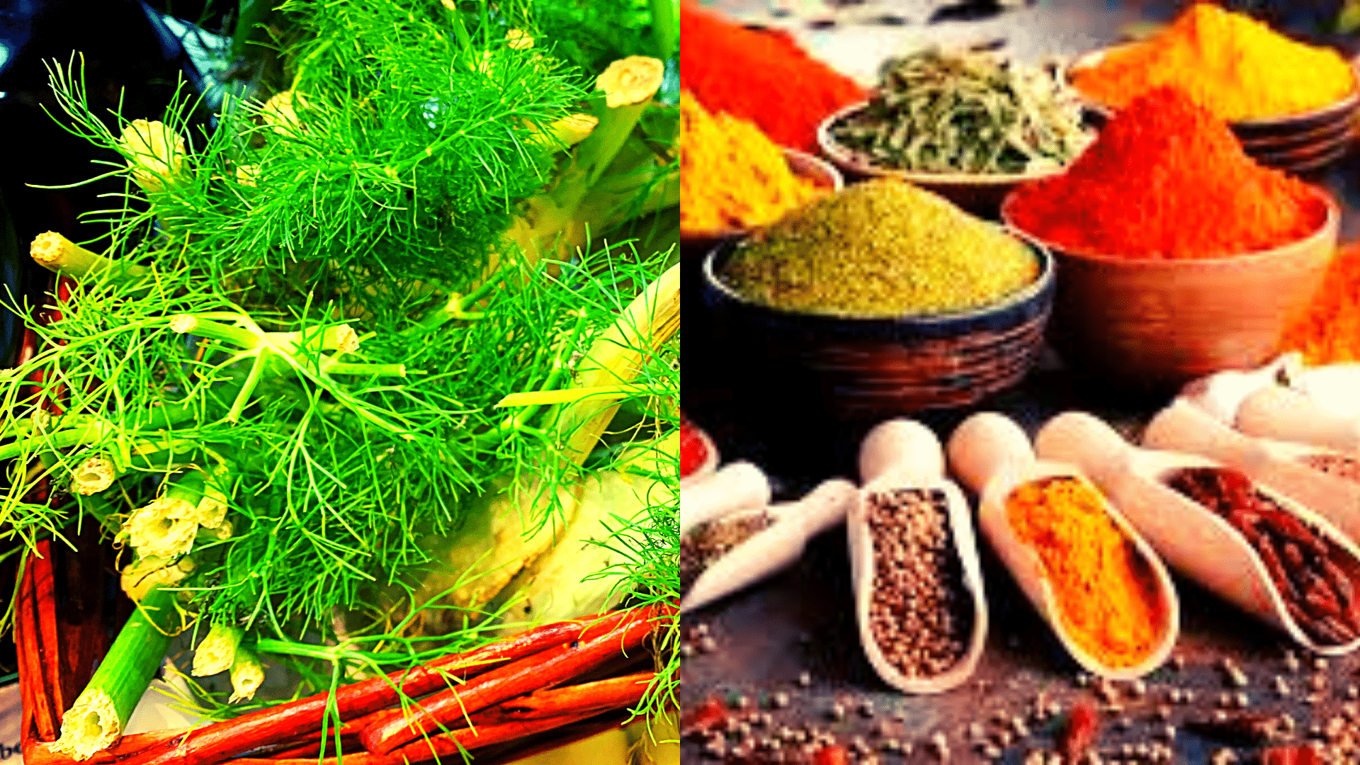Herbs and Spices what is the difference? chefstravels