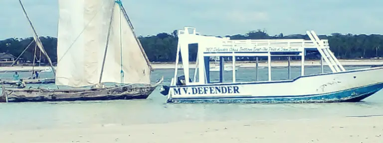 mv defender diani