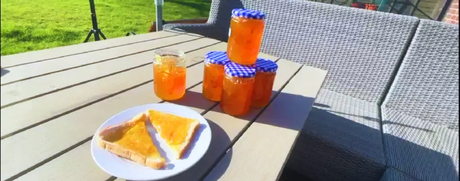 Best Marmalade Recipe /Seville Oranges/ QUICK & EASY