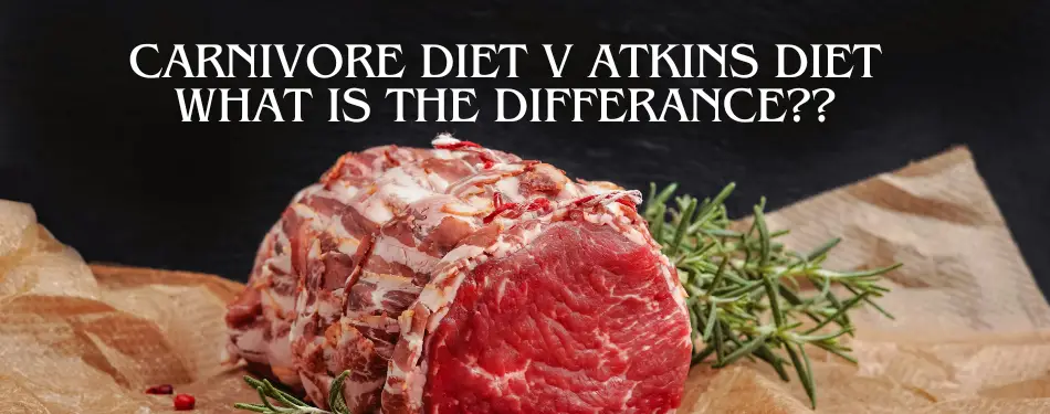 carnivore v Atkins diet post pic