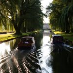 chichester canal boat ride